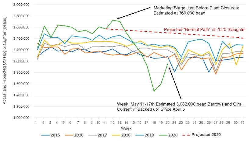 Figure 1. Actual and Projected US Hog Slaughter by Week, 2015 – 2020. SOURCE DATA: USDA NASS Slaughter Survey and AMS LM_HG201